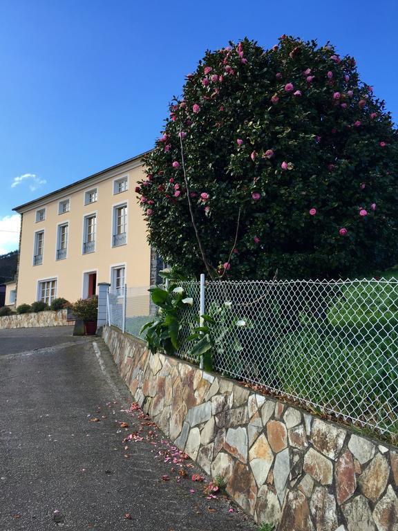 Apartamentos Rurales Casa Ron Coana Eksteriør billede